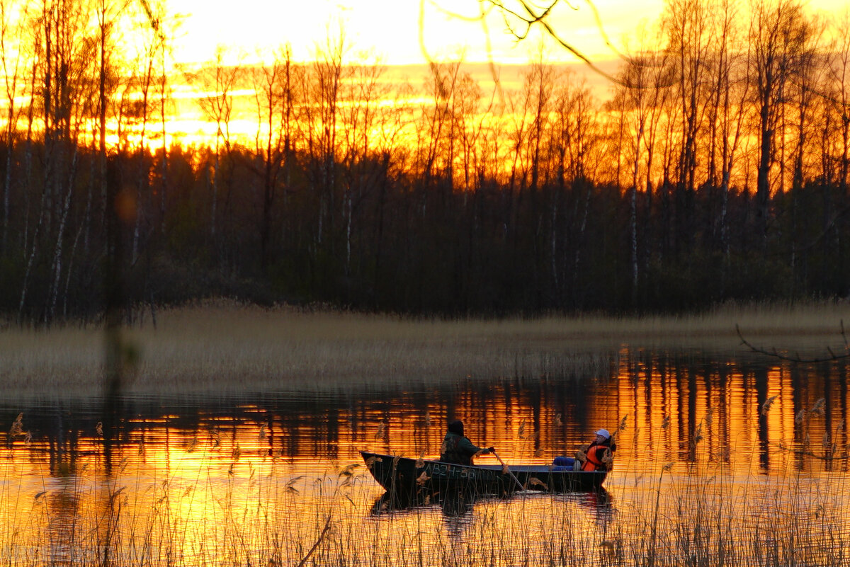 Простой лодочный поход по Вуоксе: как организовать и провести