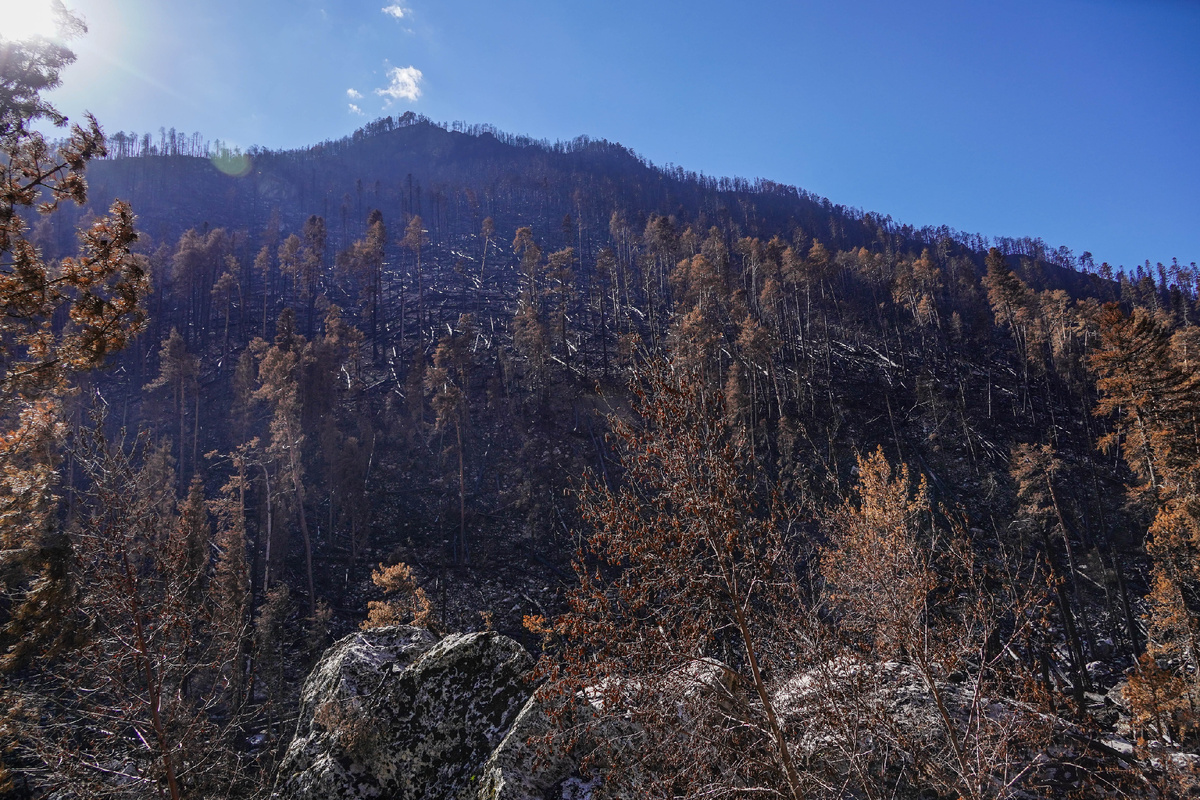 Сгоревшее Гоначхирское ущелье, Кавказ