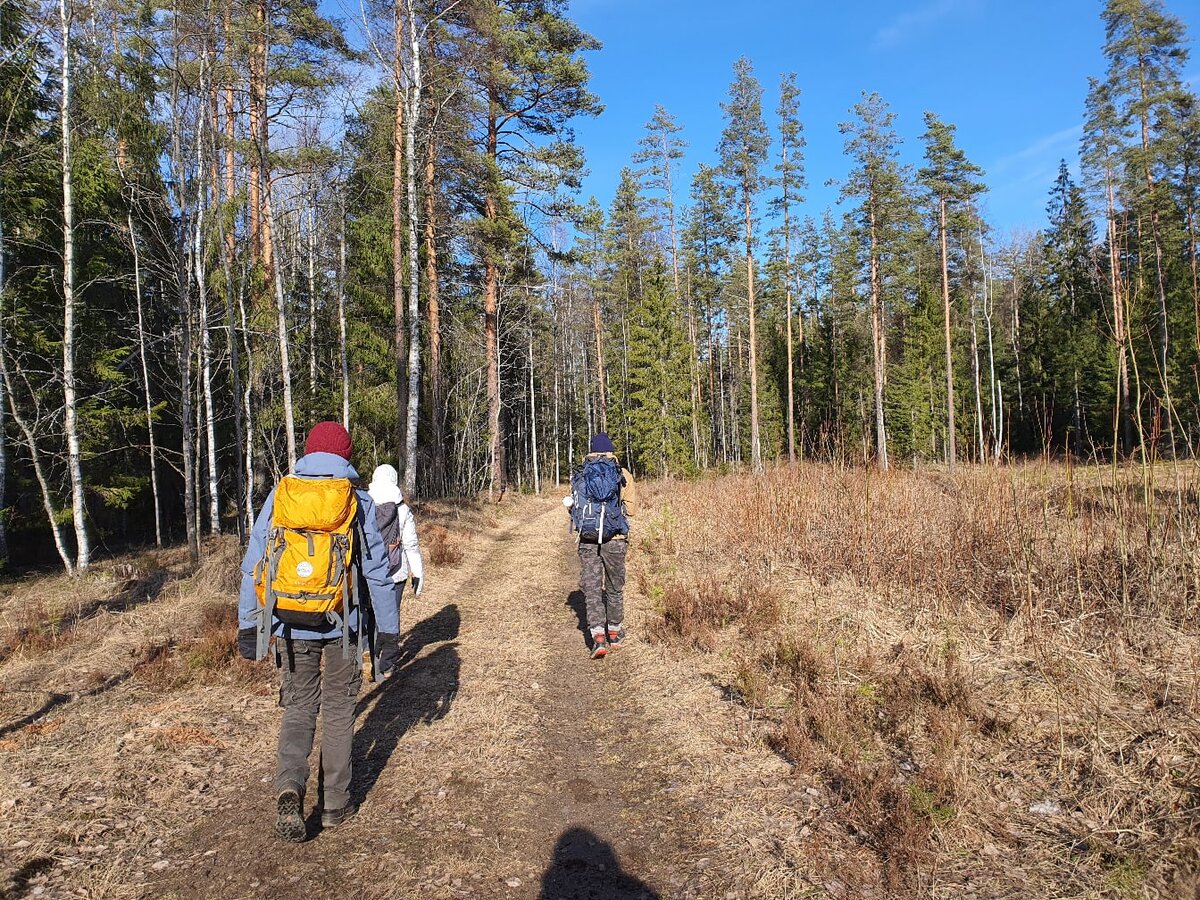 Капсула для выживания в лесу