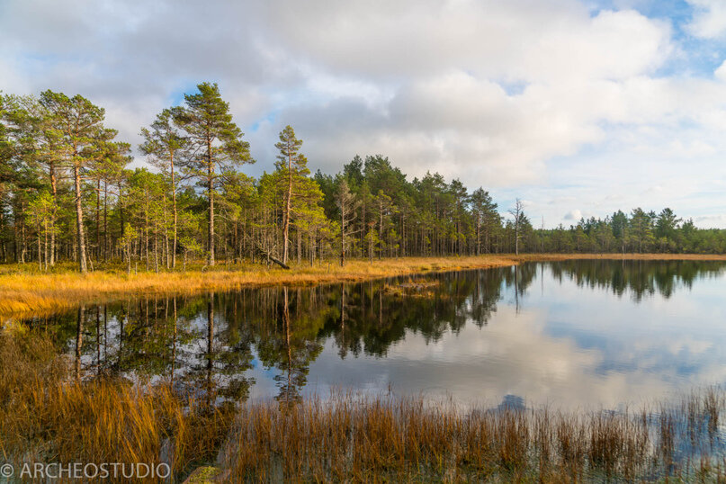 Тропа Оанду - Икла, Эстония 375 километров