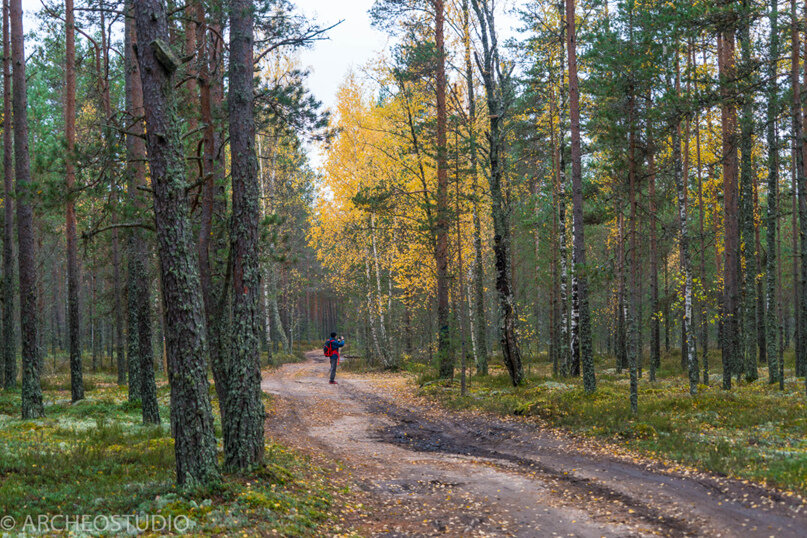 Тропа, пересекающая подъездную дорогу к стоянке