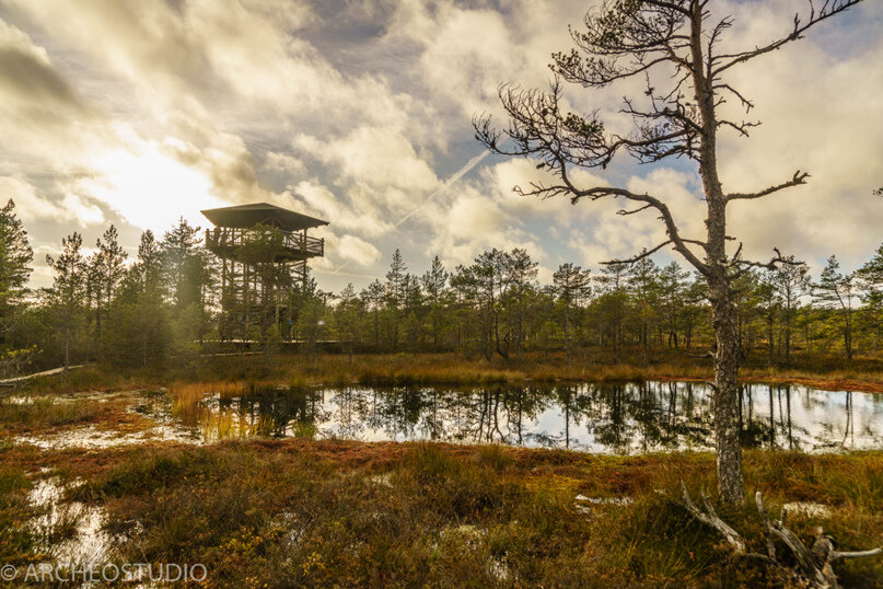 Смотровая вышка на болоте