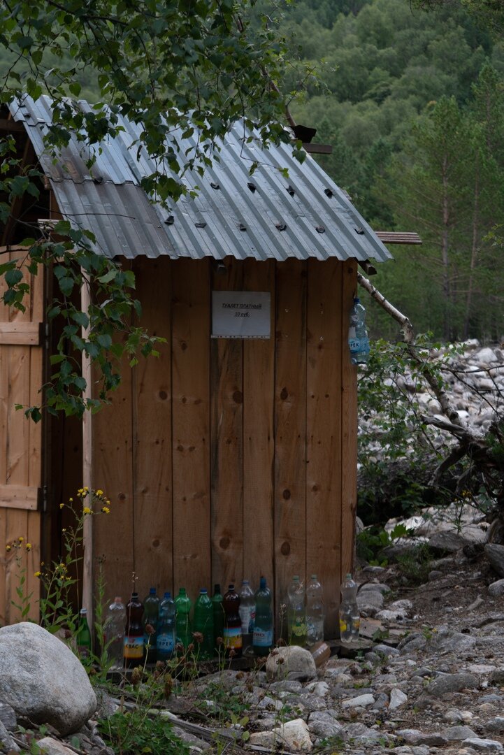 Платный толчок в лесу