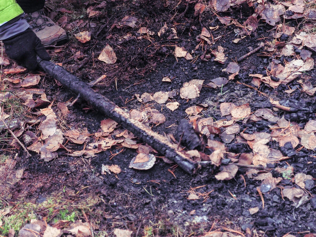 Убираем старую золу