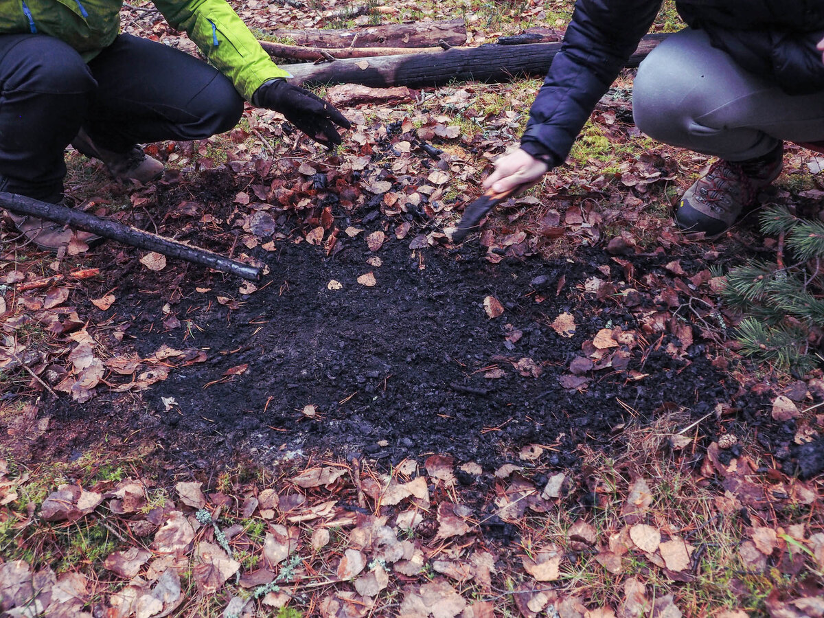 Очистите площадку вокруг кострища от листьев и травы