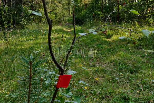 Фото маршрута