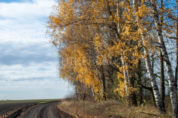 Фото маршрута