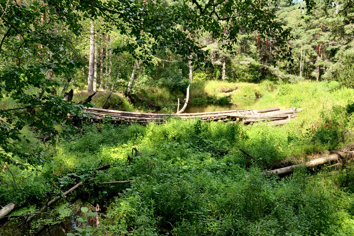 Фото похода