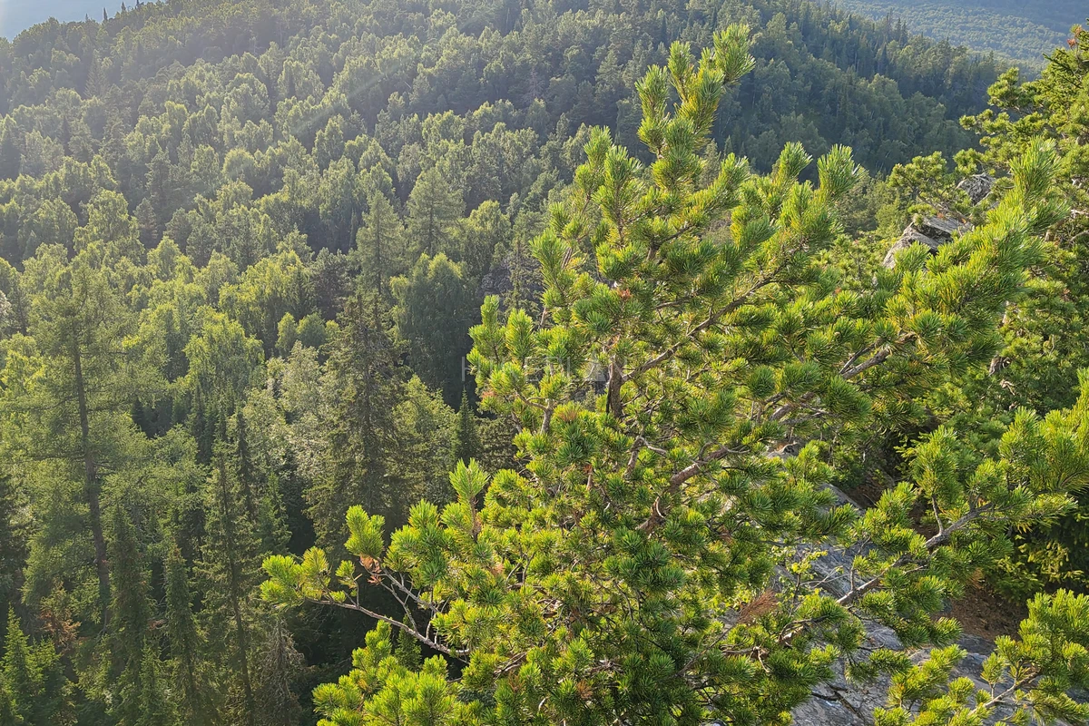 Фото маршрута