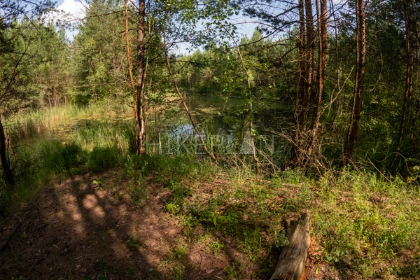 Фото маршрута