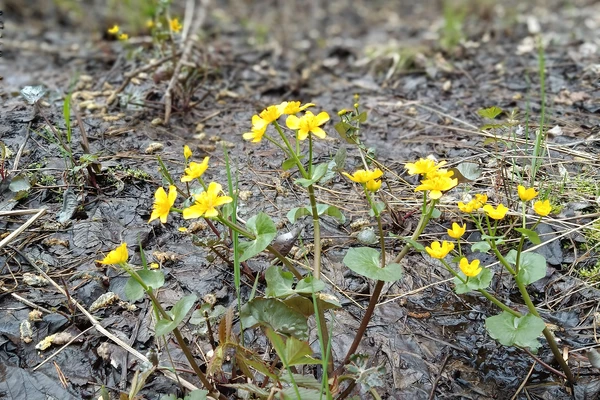 Фото маршрута