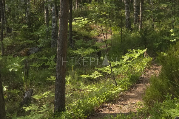 Фото маршрута