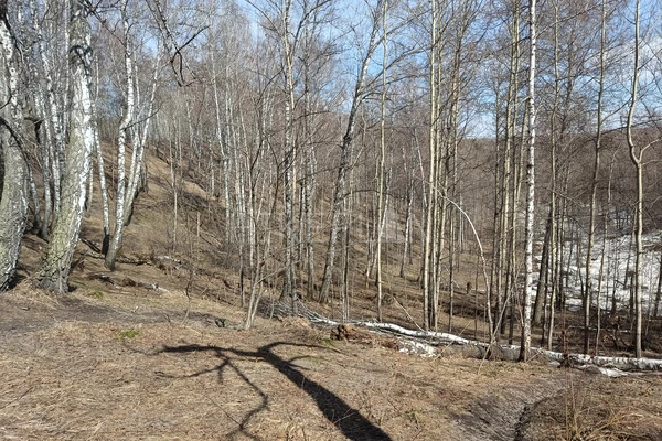 Фото маршрута