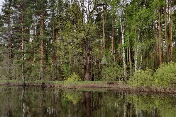 Фото маршрута