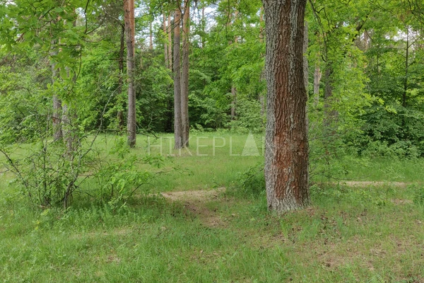 Фото маршрута