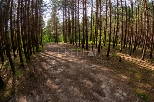 Фото маршрута