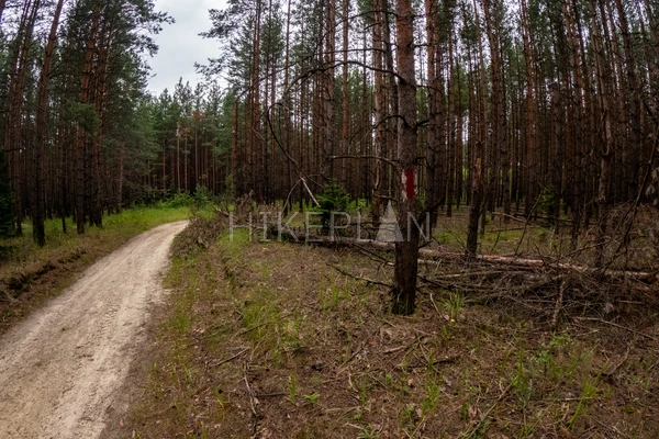 Фото маршрута