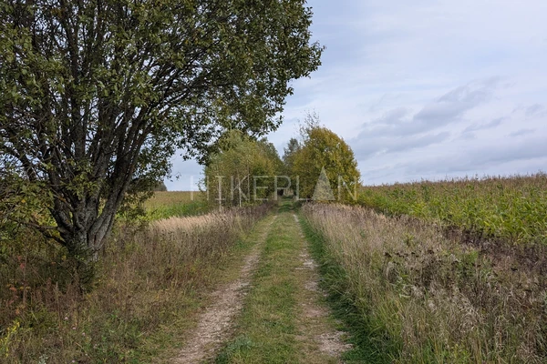 Фото маршрута