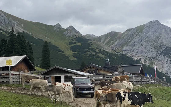 Ehrwalder Alm und Gatterl