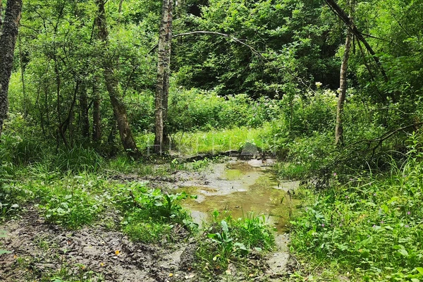 Фото маршрута