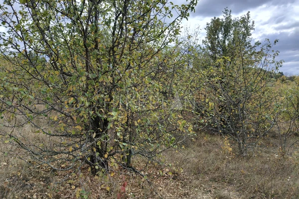 Фото маршрута