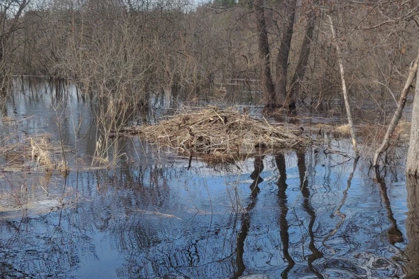 Фото маршрута
