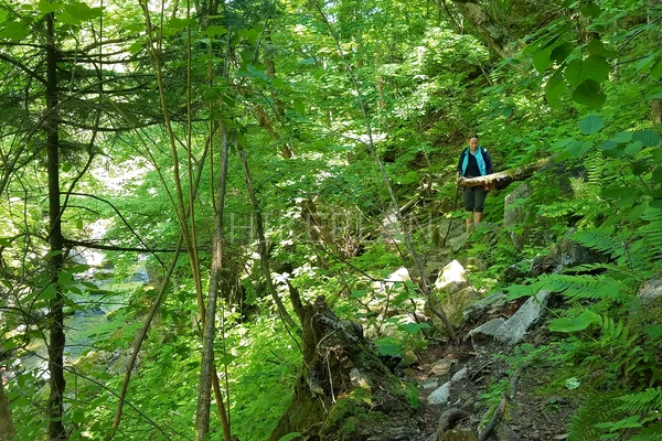 Фото похода