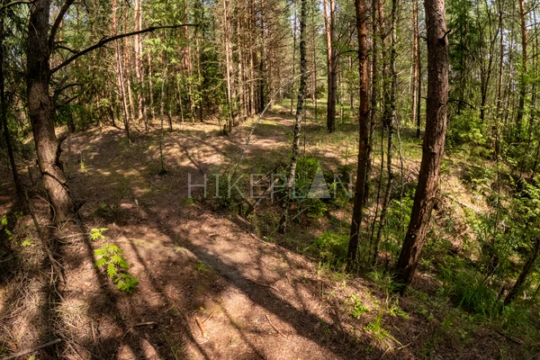 Фото маршрута