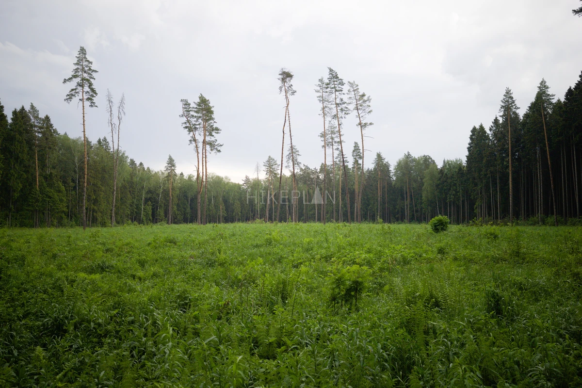 Фото маршрута