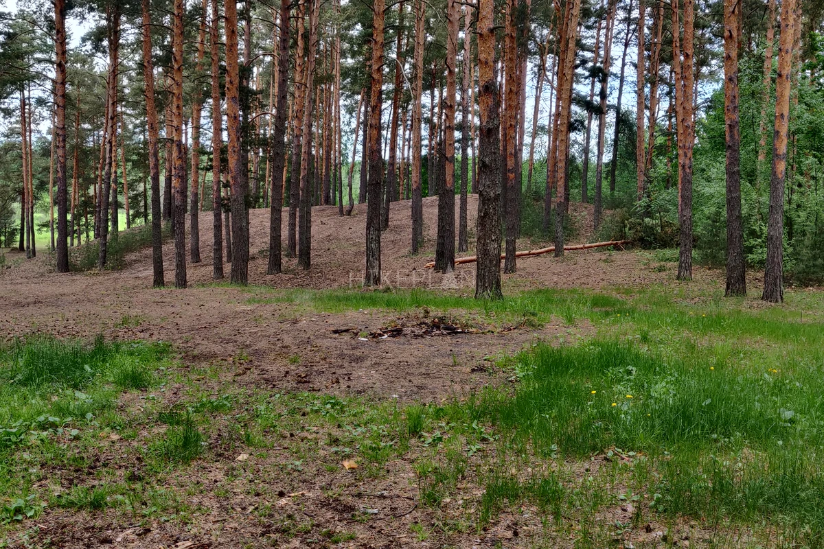 Фото маршрута