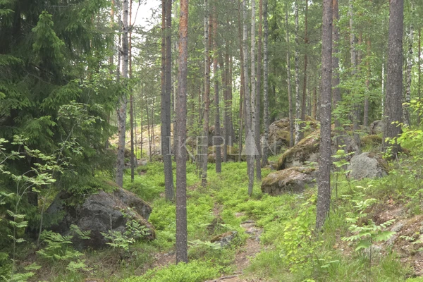 Фото маршрута