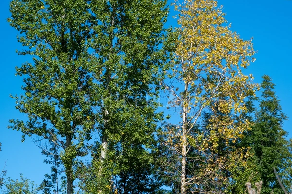 Фото маршрута