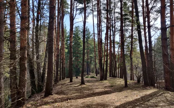 Сплав р. Нерская #1 (Земснаряд-Хотеичи)