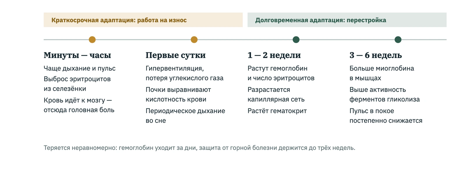 Хронология высотной адаптации