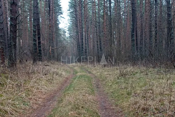 Фото маршрута