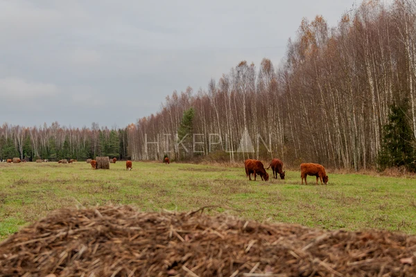 Фото маршрута