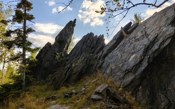 Чёрные пальцы