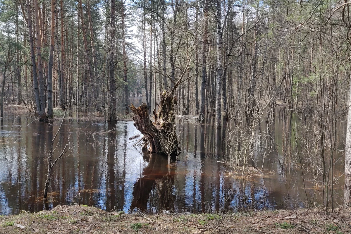 Фото маршрута