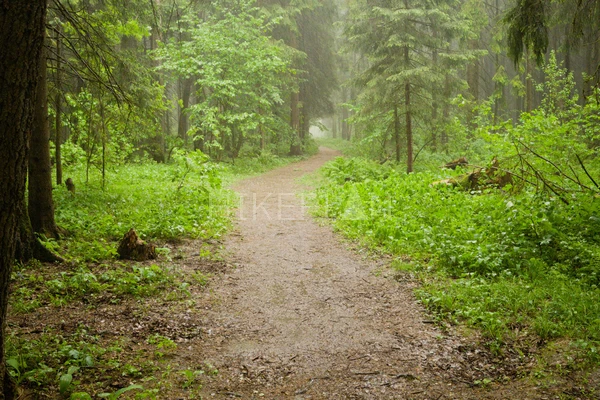 Фото маршрута