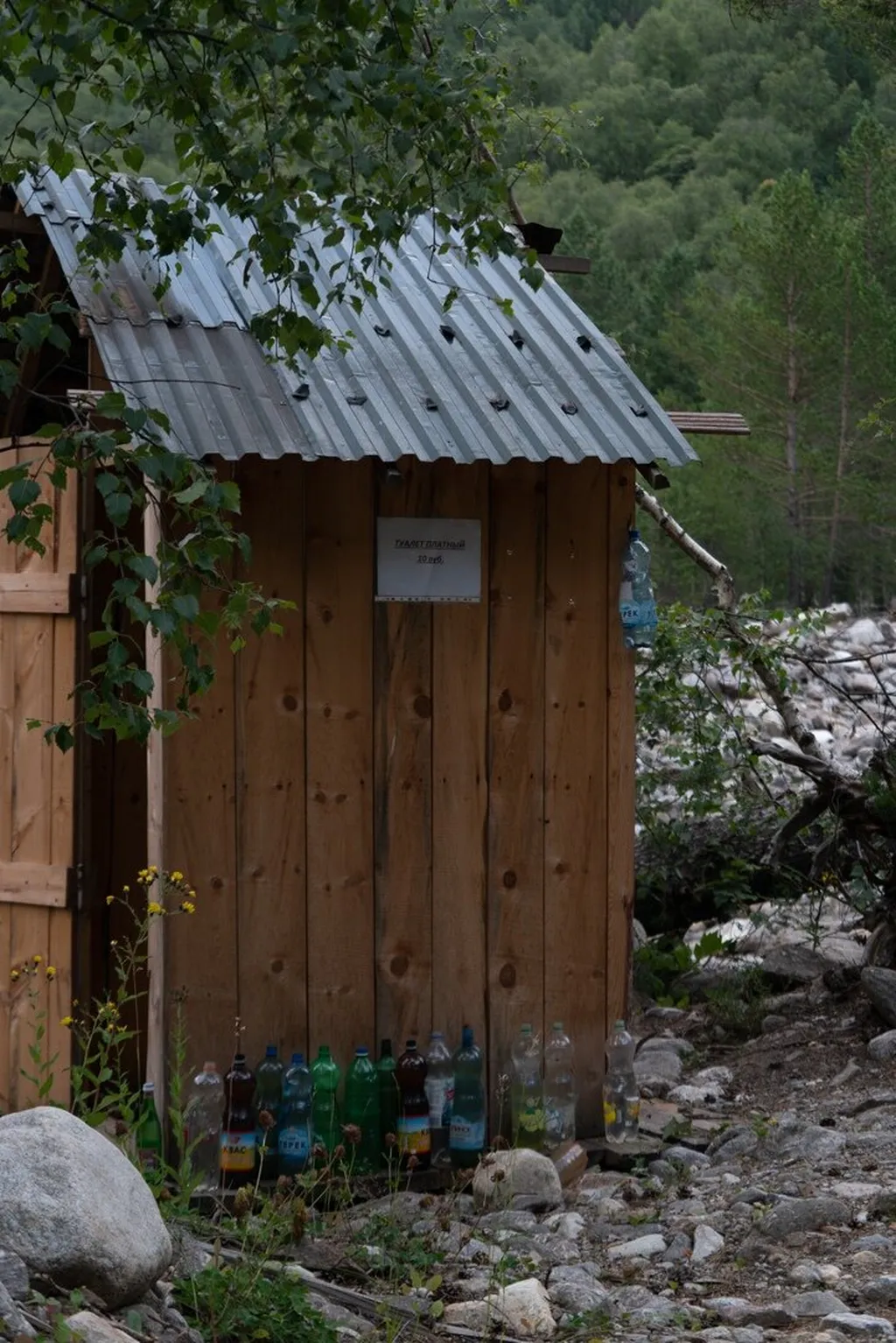 Платный толчок в лесу