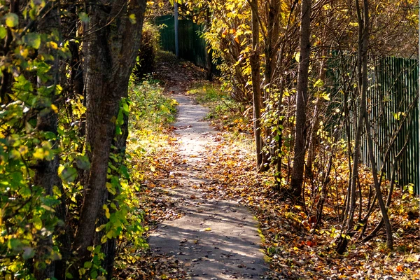 Фото маршрута