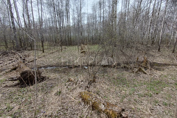 Фото маршрута