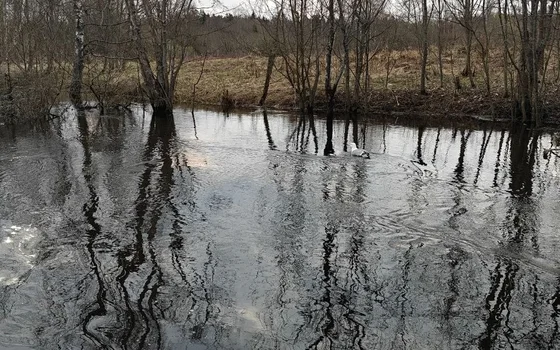 Сущево-Вербилки
