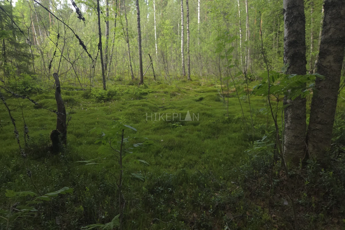 Фото маршрута