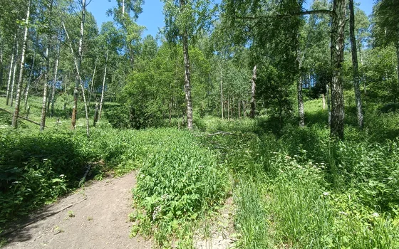 ПВД 20.06