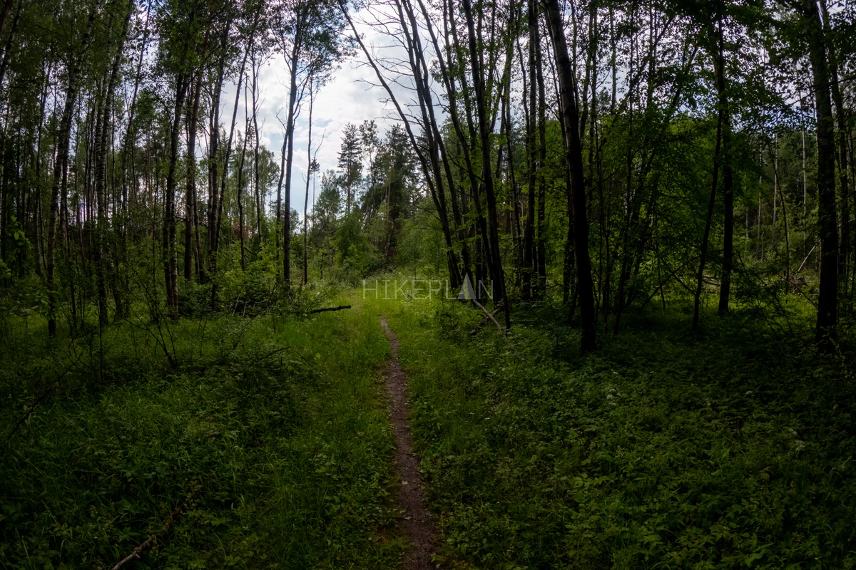 Фото маршрута