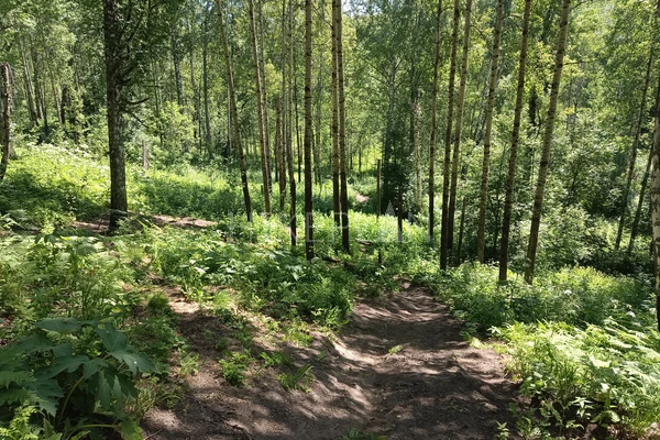 Фото маршрута
