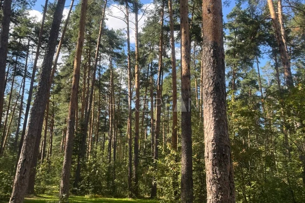 Фото маршрута