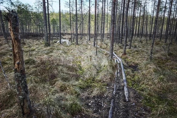 Фото маршрута