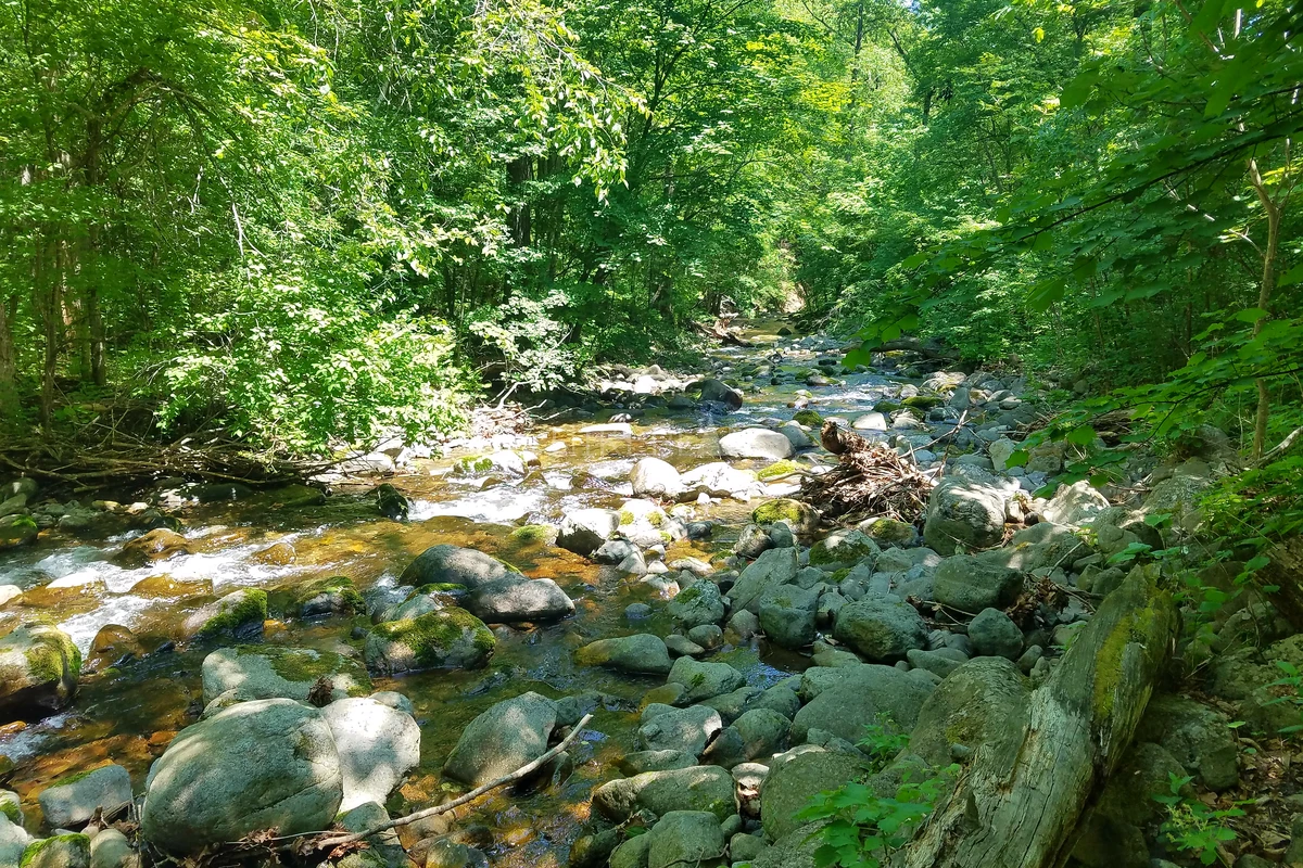 Фото похода